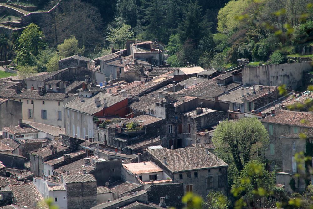 Cévennes