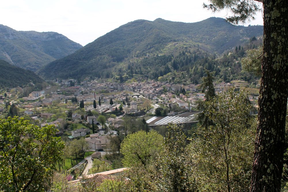 Cévennes