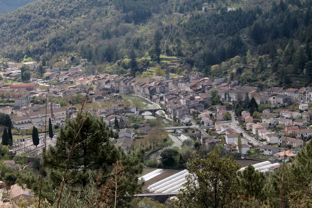 Cévennes