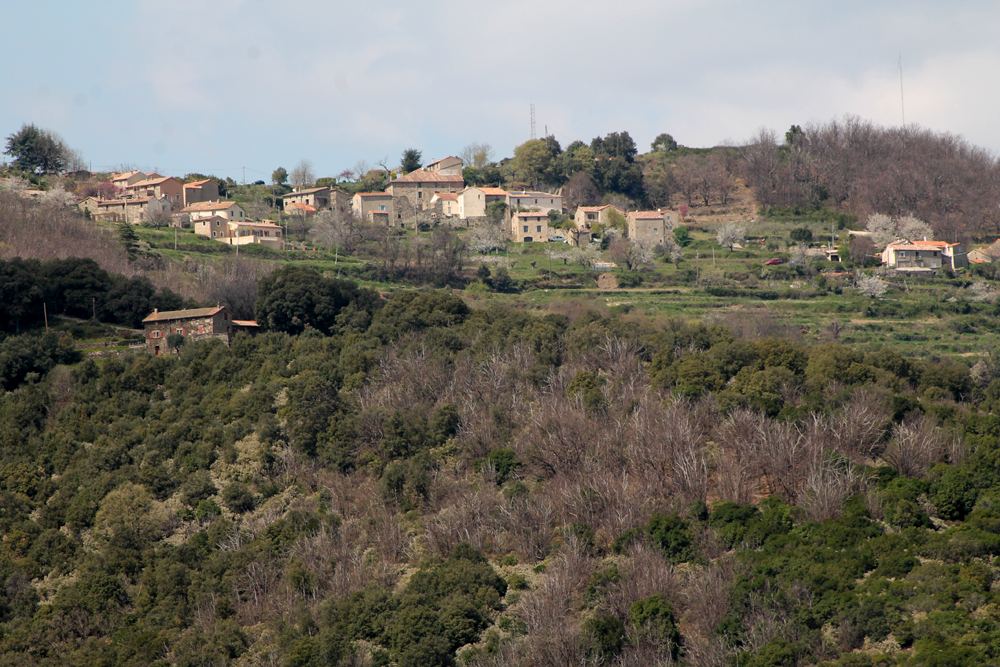 Cévennes