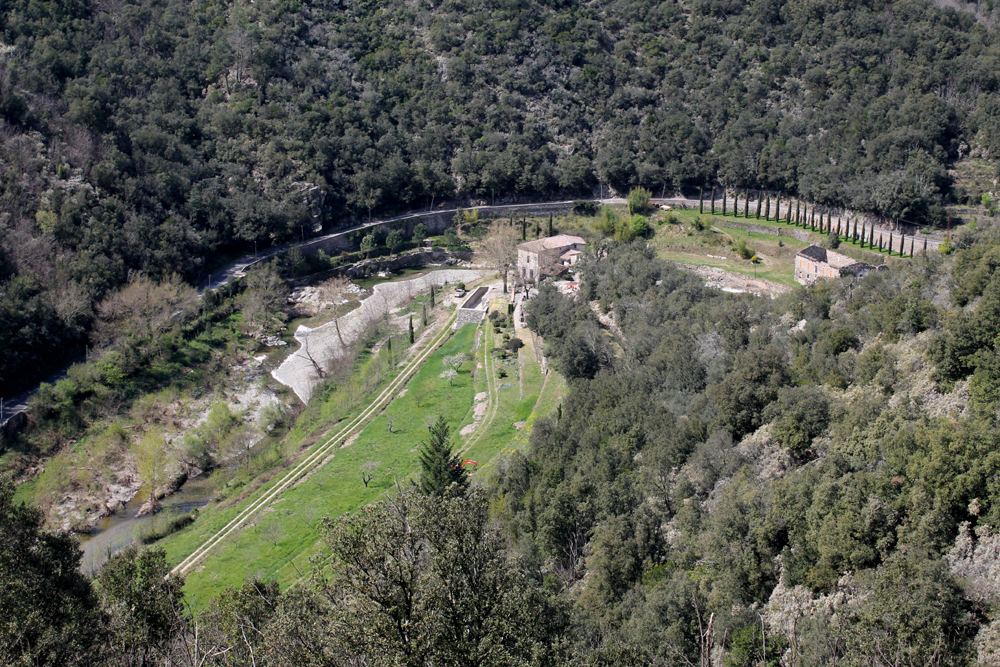 Cévennes