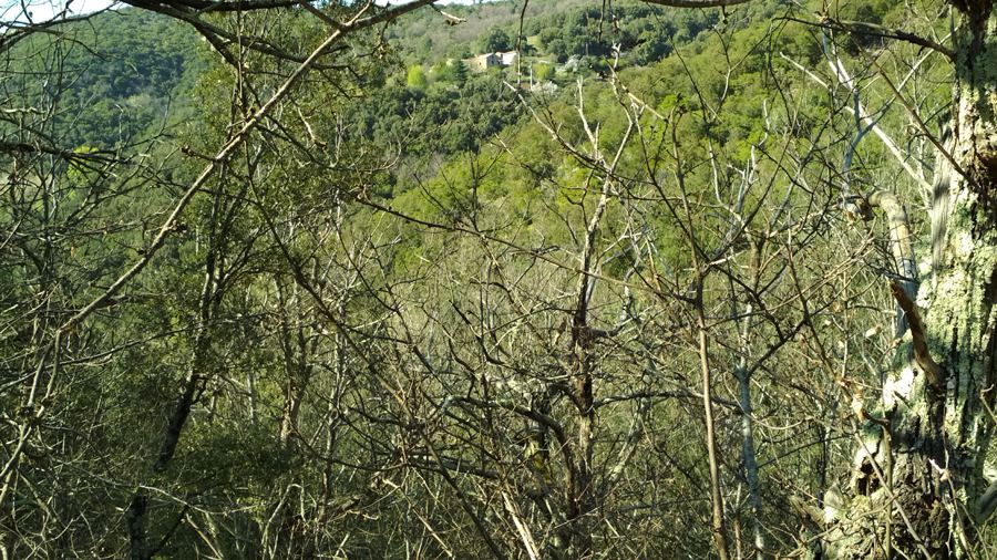 Cévennes