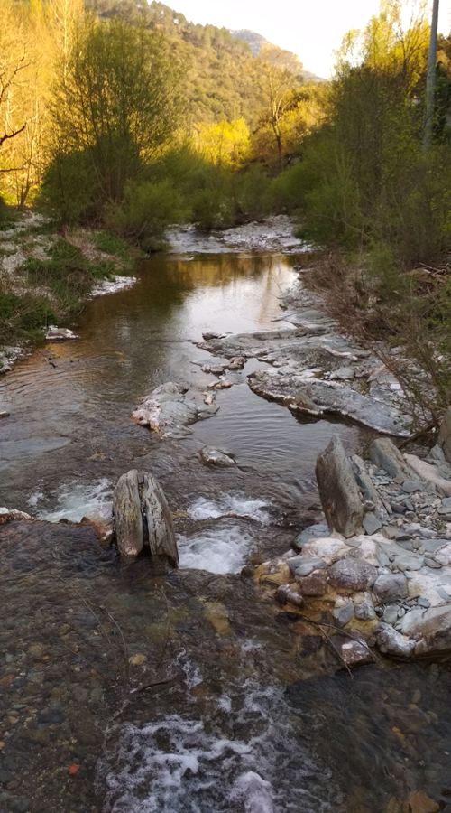 Cévennes