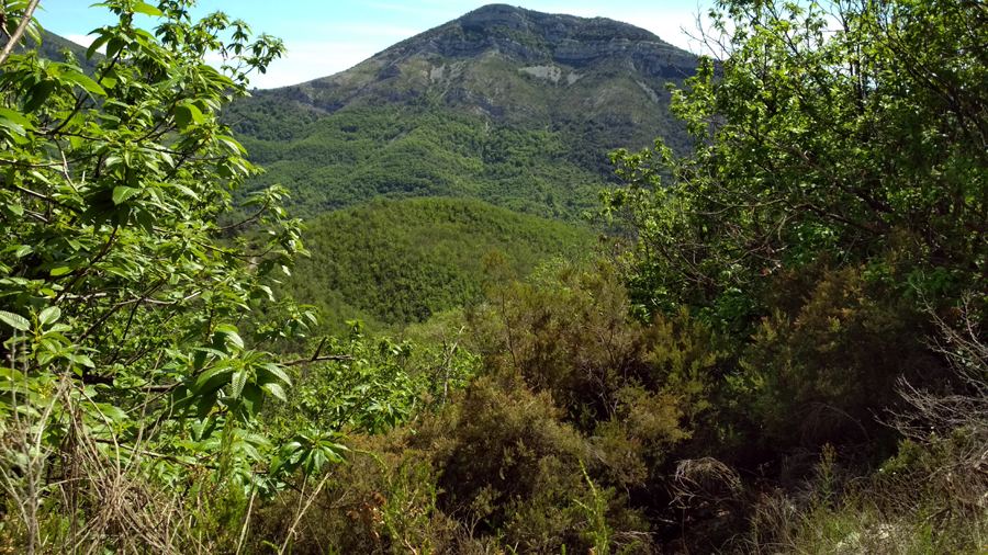 Cévennes