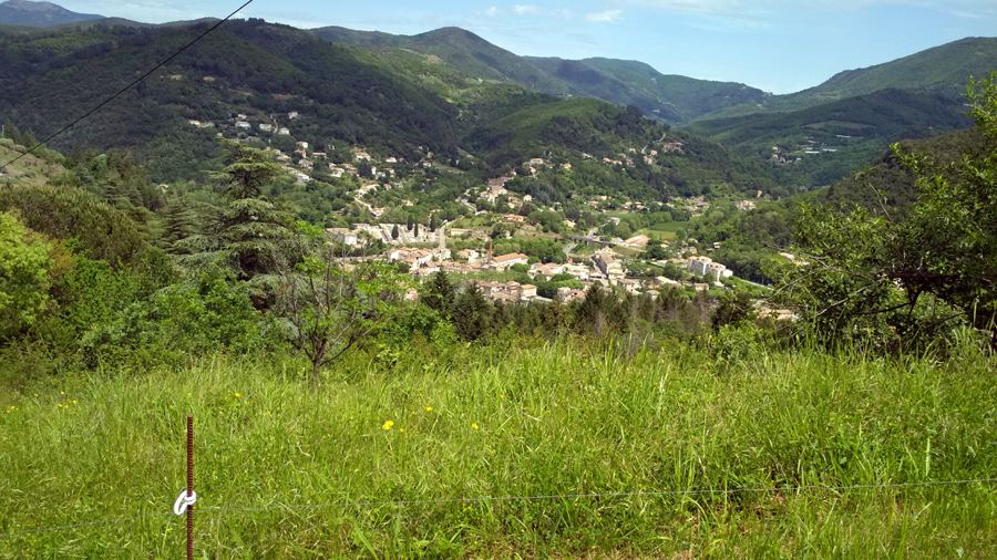 Cévennes