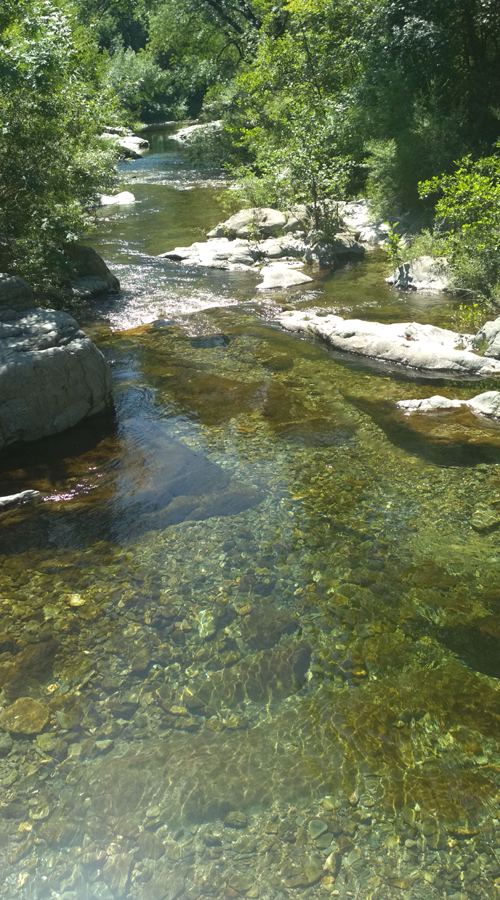 Cévennes